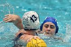 WWPolo vs CC  Wheaton College Women’s Water Polo compete in their sports inaugural match vs Connecticut College. - Photo By: KEITH NORDSTROM : Wheaton, water polo, inaugural